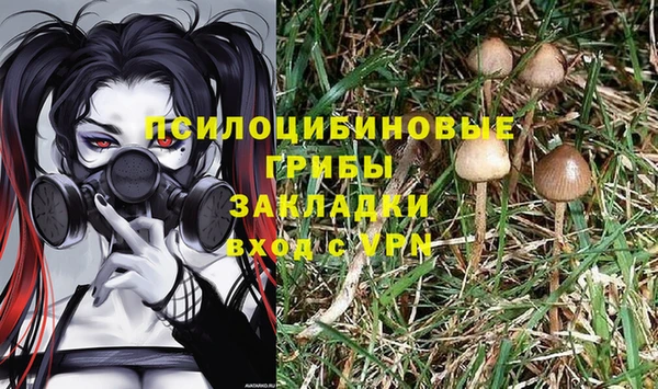 бутират Аркадак