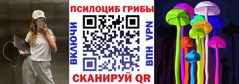 Псилоцибиновые грибы прущие грибы  Серов 